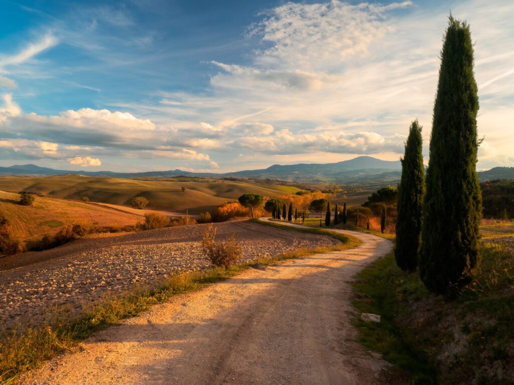 Tuscany Landscape Val D Orcia Cypress