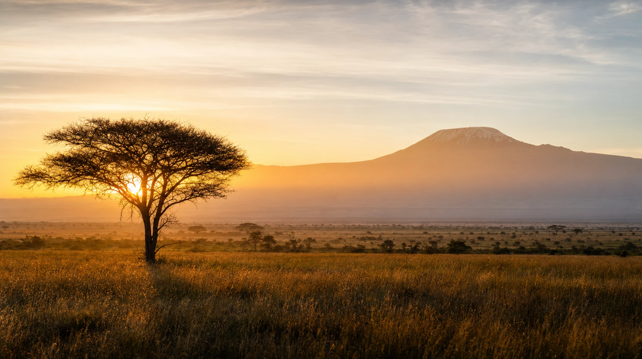 Kenya Maasai Mara Hero