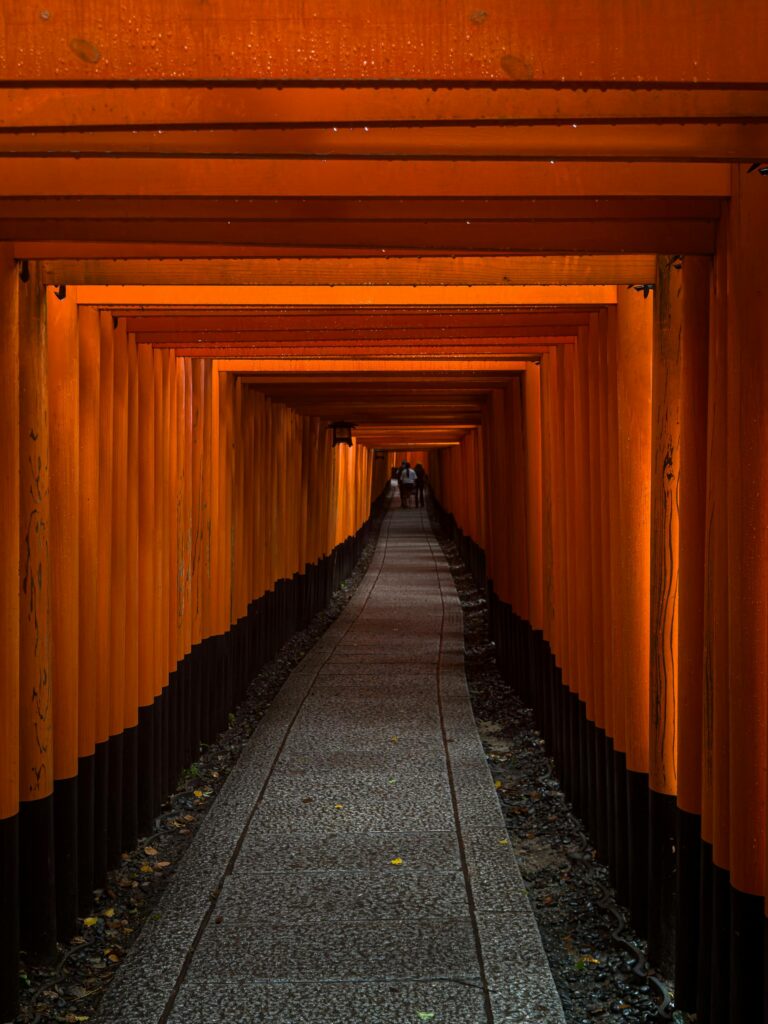 Vermillion torii gate tunnel winds up the wooded hillside at Fushimi Inari-taisha shrine in Kyoto, Japan