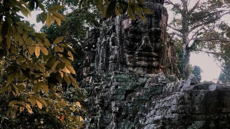 A single carved stone face at the Bayon temple in the surrounding Angkor Thom jungle (1920px)
