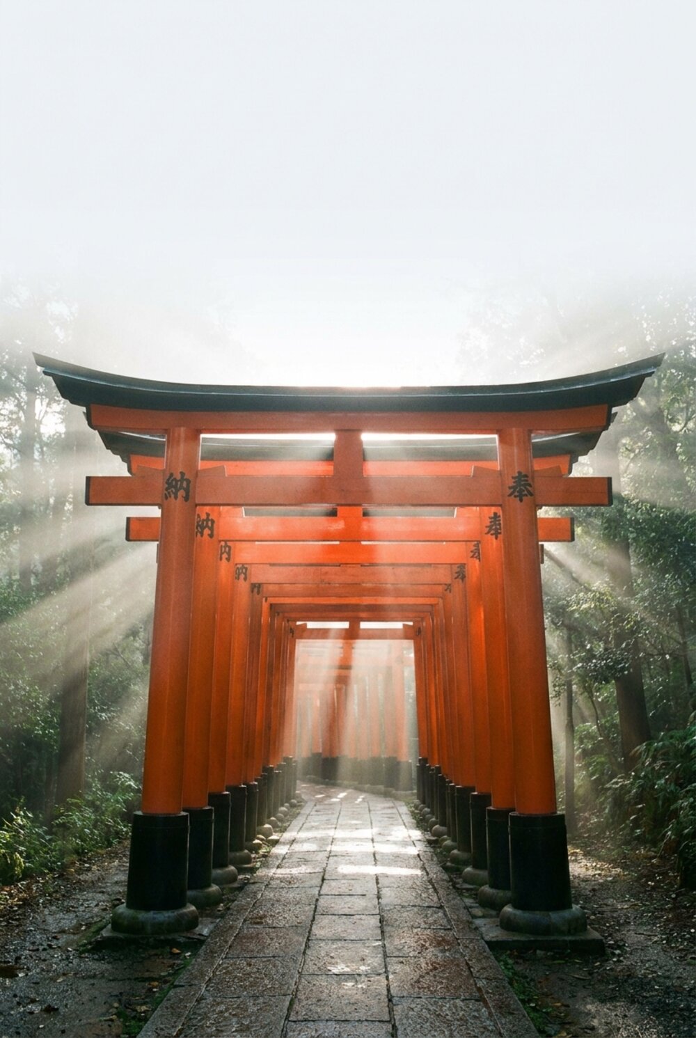 Kyoto travel guide — destination highlights pin