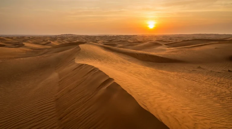 Wahiba Sands, Oman — rippling golden desert dunes at sunset