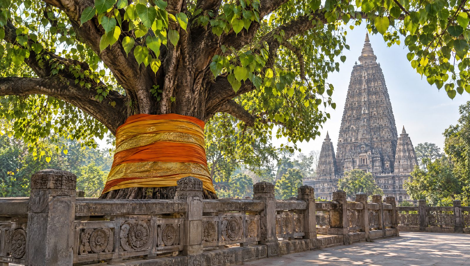 The spreading Bodhi tree at Bodh Gaya with its trunk wrapped in saffron cloth, the Mahabodhi temple spire rising behind